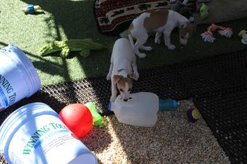 Sophie having Milk Jug fun!
