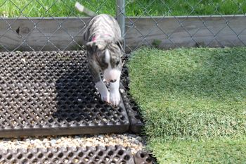 Kay...enjoying her first day outside..
