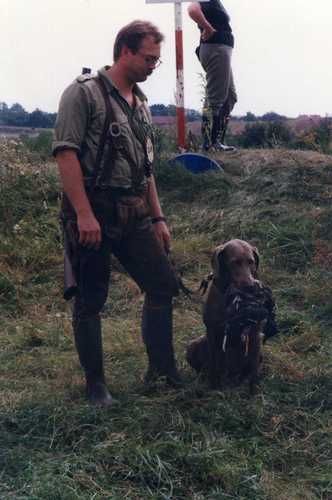 Field Trials 1997 Weimaraner Club of Germany Centennial National Show
