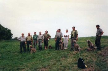 1997 Weimaraner Club of Germany Centennial National Show
