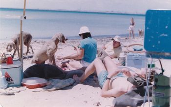 Club beach meet Point Peron Rockingham
