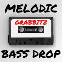 MELODIC BASS DROP by Hack Music Theory