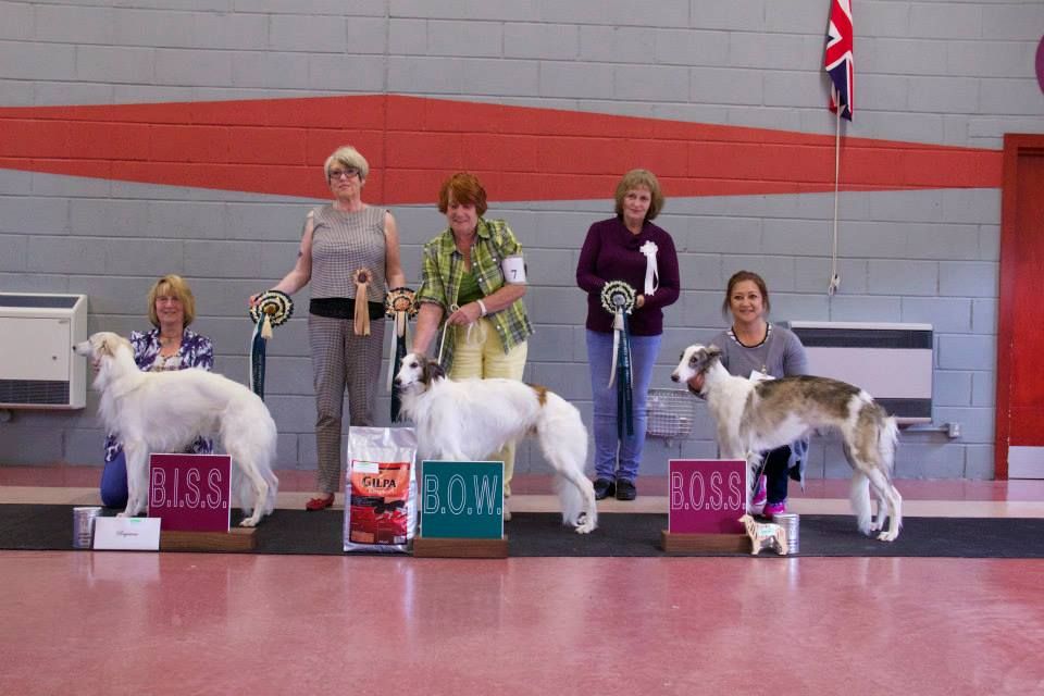 BISS ISWS & UKC Ch Allagante Winsome Riveria, Winners Kumbaya Believe in Magic & BOSS Kushbudar Countess Caithleen
