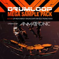 Drumloop Mega Sample Pack