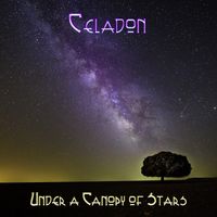 Under A Canopy of Stars by Celadon