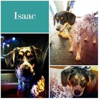 Isaac (now Colby!)
