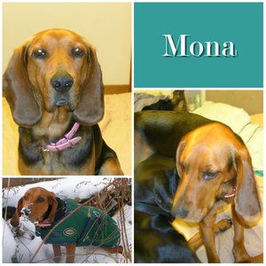 Mona (now Dixie)

