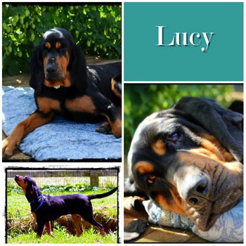 Lucy
