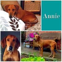 Annie
