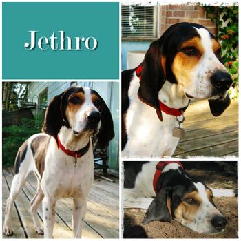 Jethro
