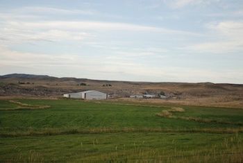 Our 30 acre meadow that we irrigate and put up hay for winter feeding to the sheep.
