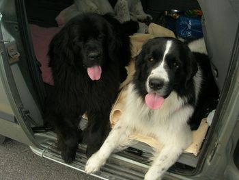 And they are willing to GO anywhere!
