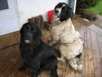 Just back from the beaver pond.....
