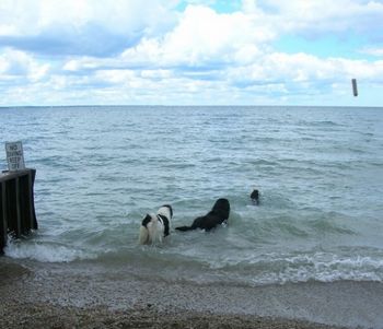 Swimming in Lake Huron
