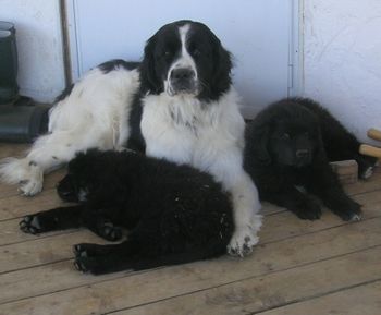 Keiva with Keylee and Jasper
