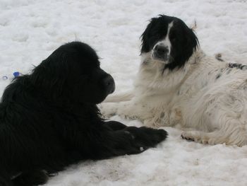 Keiva and her buddy Tiny
