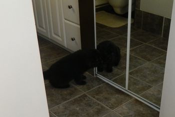 Hey new friend, wanna play???
