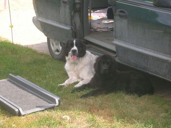 They will wait here all day if they think we're going on a trip
