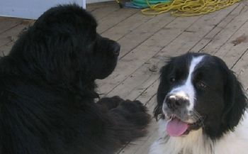 Tiny and Keiva
