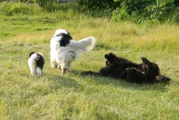Hey ... where ya goin????
