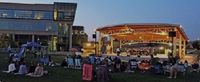 Chicago Bob and the Blues Squad at Music on the Green with King Copper Jazz Band