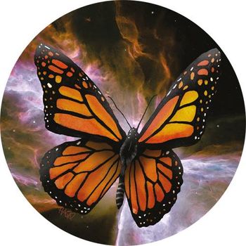 The Butterfly track
