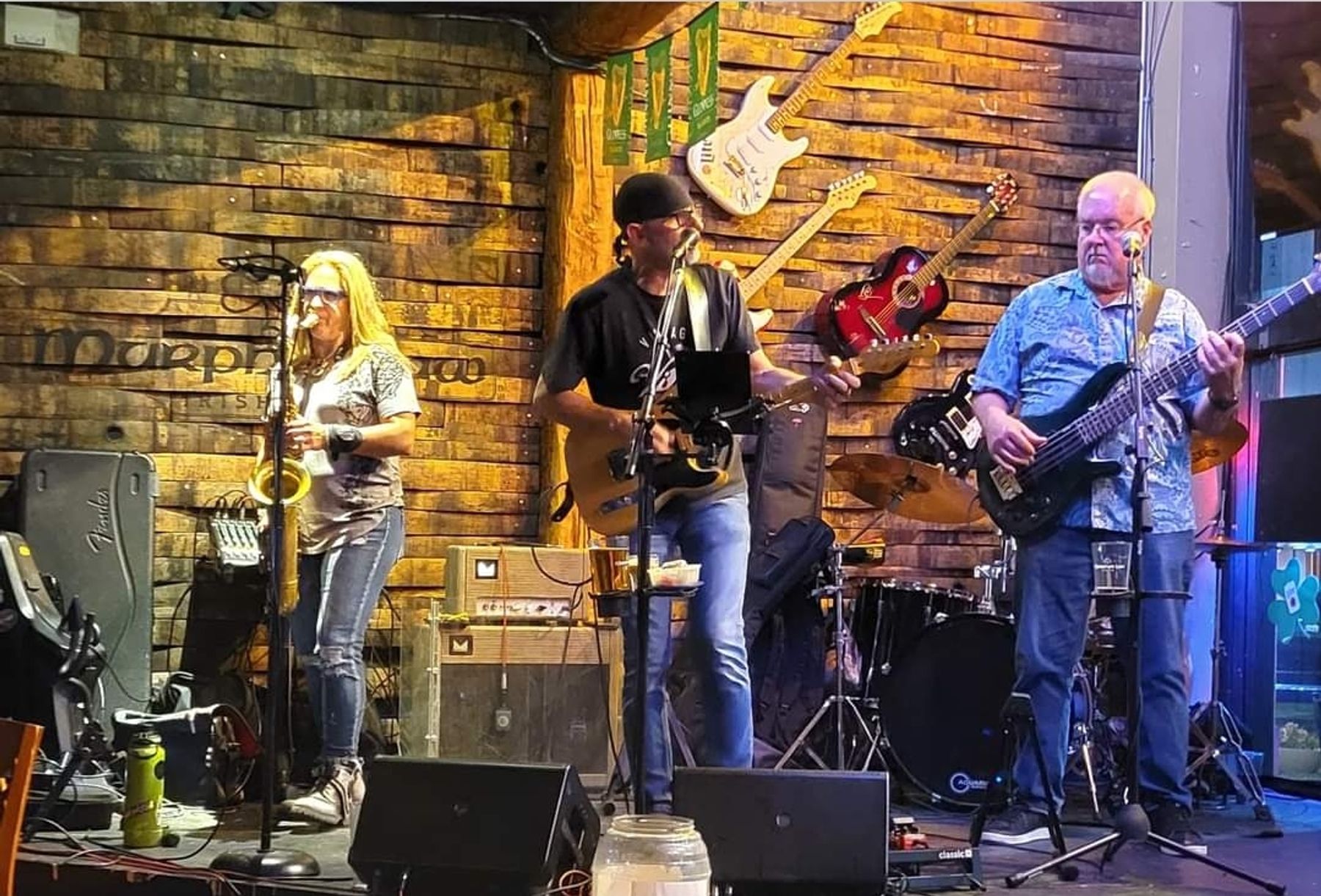 HARRY MCGRAW BAND Live @ View Point RV Resort @ Viewpoint RV
