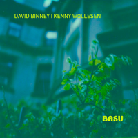 BASU by DAVID BINNEY & KENNY WOLLESEN