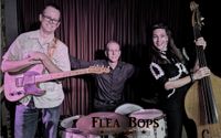 Flea Bops and Sideling Hill Stompers