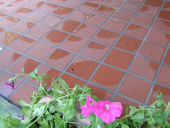 Tile Patio detail photo
