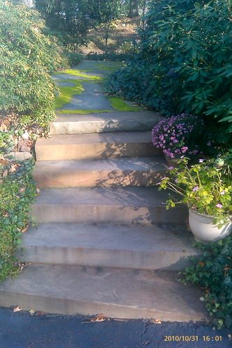 Large Snap Cut Bluestone Steps
