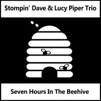 Seven Hours In The Beehive CD