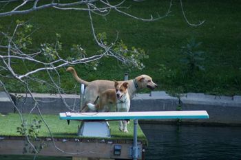 Hanging out on the dock
