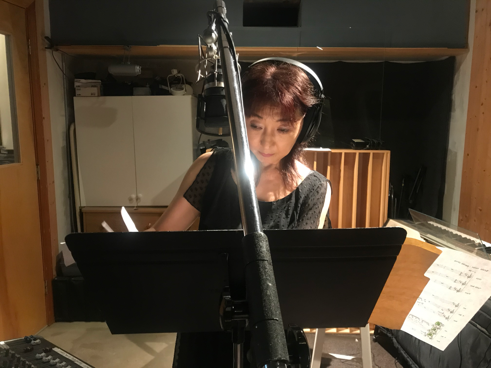 小物 AKIKO AOKI  Aid you harness AKIKO AOKI Aid you harness
