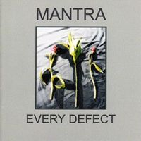 Every Defect by Mantra