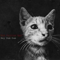 Hey Dum Dum by Red Painted Red