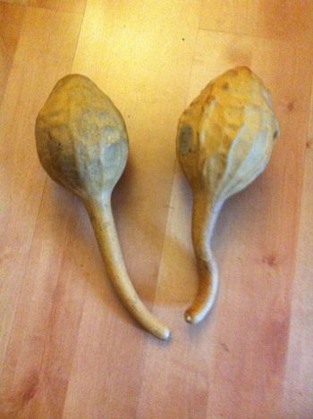 Hosho (Gourd Shakers) from Zimbabwe
