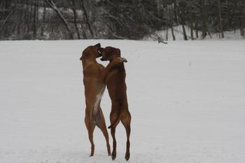 Jaz and Ella
