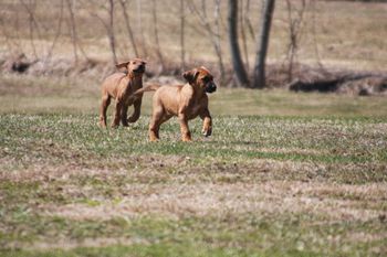 Niki and Keb are two peas in a pod!
