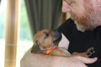 Ripley has new dad David right where she wants him, head over heals in love!
