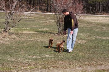 Brian brings the pups back to the group. They love to eat the blueberry bushes.
