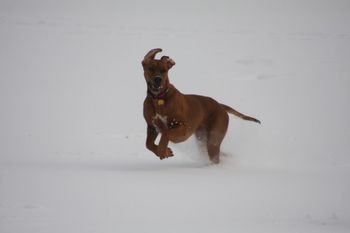 Niki playing here in the snow
