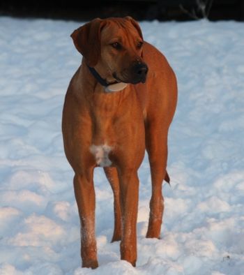 Madi at 10 months old.
