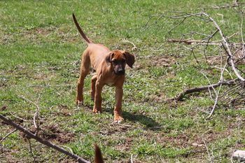 Keb out on the property the last day he was here.
