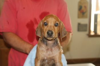 Hali loved her bath, not so much!
