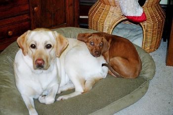 Carly and Kaden at home
