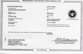 OFA Throid test results NORMAL. If you would like to have a copy of any test results for Elsa sent to you please contact us on our "contact page".
