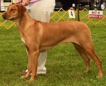 Elsa showing while mom was out west meeting new edition Kenya.
