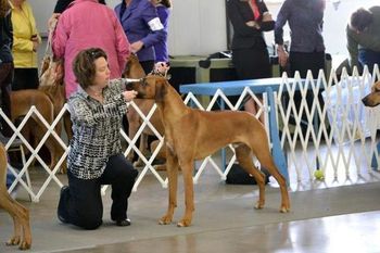 Keb loves showing and I know they are going to have a great season!
