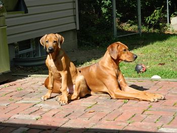 Niki sun bathing with baby brother Logan
